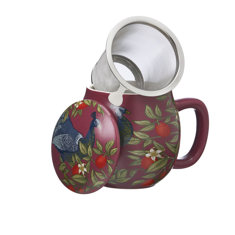 Infusiera Eden Rossa