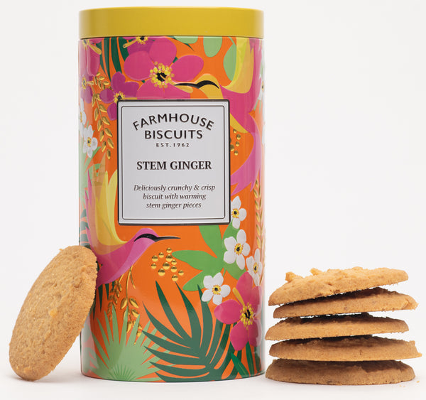 Tropical Ginger - Biscotti